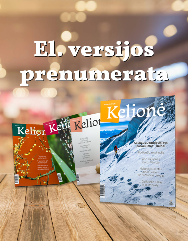 El. versijos prenumerata